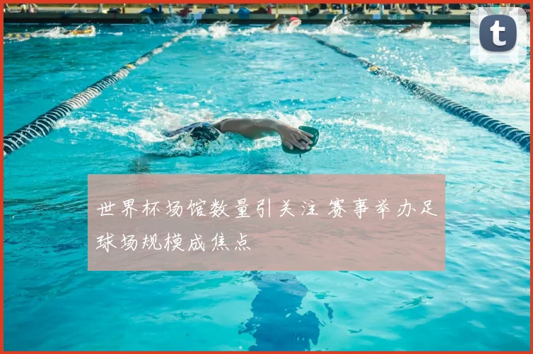 世界杯场馆数量引关注 赛事举办足球场规模成焦点