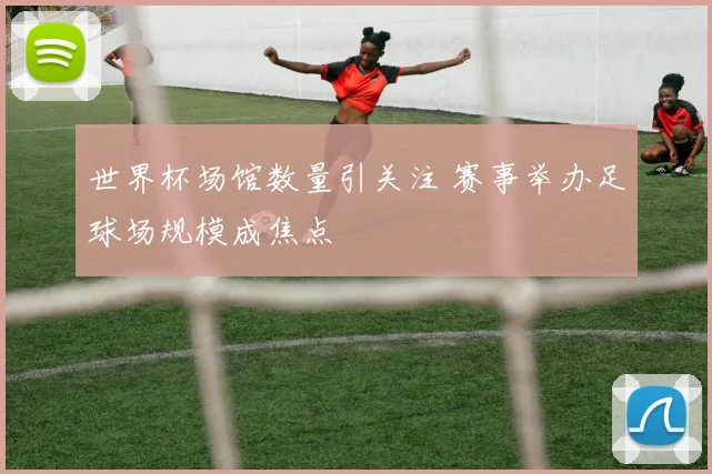 世界杯场馆数量引关注 赛事举办足球场规模成焦点