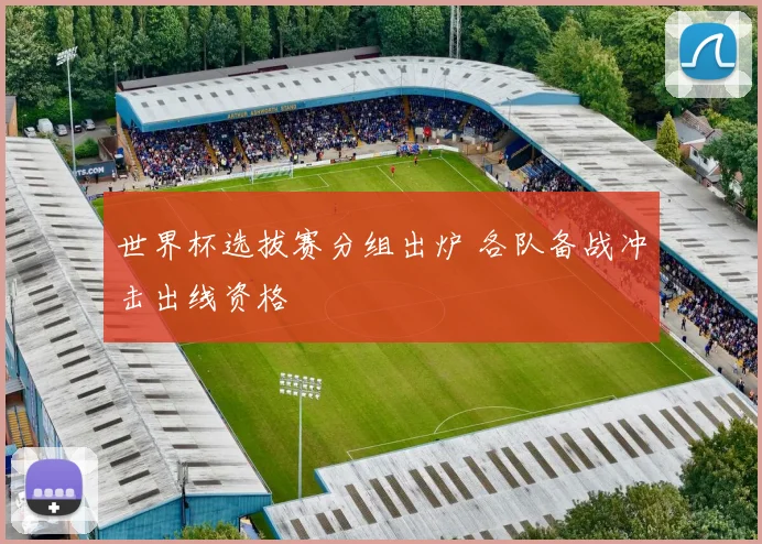 世界杯选拔赛分组出炉 各队备战冲击出线资格